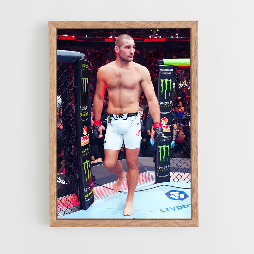 Poster L'Entrepreneur du Combat – affiche MMA (vue 4)